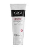 Obnovující maska MESOPRO GIGI 20 ml